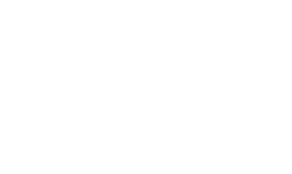 Das offizielle Logo von Connor Sports