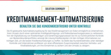 Solution Summary: Kreditmanagement-Automatisierung