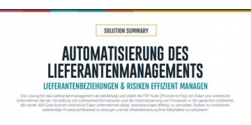 Solution Summary: Automatisierung des Lieferantenmanagements